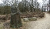 Trail On foot Maasmechelen - Mechelse Heide Blauwe ruit - Photo 1