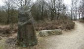 Tour Zu Fuß Maasmechelen - Mechelse Heide Groene rechthoek - Photo 1