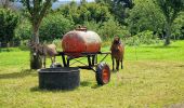 Tour Wandern Saint-Sauveur-le-Vicomte - St Sauveur Besneville boucle - Photo 6