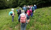 Tour Wandern Sallent de Gállego - SALLENT DE GALLEGO col de Pacino - Photo 3