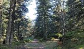 Tour Wandern Le Bessat - Croix de Chaubouret - Crêt de Botte - Col de l'Oeuillon  - Photo 15