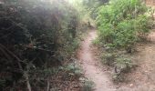 Trail Trail Carcheto-Brustico - Boucle 2 de la station de trail de corse  - Photo 17