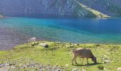 Trail Walking Alins - etp31. gr11 - Photo 1