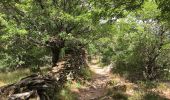 Tour Wandern Riols - Sentier des légendes (1000 marches) par Langlade (Riols) - Photo 1