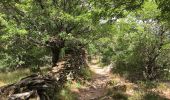 Trail Walking Riols - Sentier des légendes (1000 marches) par Langlade (Riols) - Photo 1