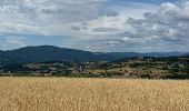 Trail Walking Colombier-le-Vieux - Colombier le Vieux Daronne Azur - Photo 5