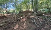 Tour Wandern Bagni di Lucca - Ponte a Gaio - Rifugio Cesentini - Belvedere - Photo 6