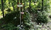 Trail On foot Tarvisio - IT-654 - Photo 3