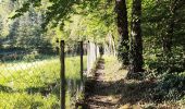 Trail Walking Fléron - Promenade sous les Bouhys   - Photo 6