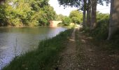 Tour Wandern Gardouch - Le canal du Midi - Photo 2