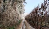 Randonnée Marche Looz - Promenade vers l'Aeneas Wilder  - Photo 20