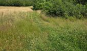 Tocht Stappen La Chapelle-Enchérie - La Chapelle-Enchérie - Bois de Bricsard - Photo 10