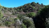 Trail Walking Roquebrune-sur-Argens - les 25 ponts -Roquebrune sur Argens-25-09-20 - Photo 3