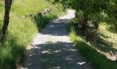 Trail Walking Val-d'Oronaye - FORT DE ST-OURS HAUT - Photo 3