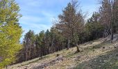 Tour Wandern Aurel - Le Pas de la Frache - Photo 13