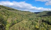 Trail Walking Bouillon - rando rochehaut 5-10-2024 - Photo 3