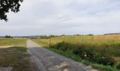 Excursión Bici eléctrica Ronse - Russeignies - Photo 13