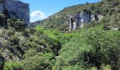 Randonnée A pied Gordes - les gorges de la Véroncle - Photo 19