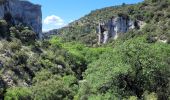 Percorso A piedi Gordes - les gorges de la Véroncle - Photo 19