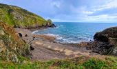 Randonnée A pied La Hague - Séjour Cotentin Etape 3  Nez de Jobourg - Biville - Photo 8