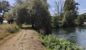 Trail Walking Fléac - Rando-ballade le long de la Charente au départ de Fléac  - Photo 17