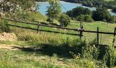 Randonnée Marche Saint-Martin-de-Crau - Tour du lac de mondely - Photo 3