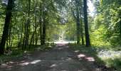 Randonnée Marche Rethondes - en Forêt de Laigue, 04_07_2025_sur les Routes du Grand Octogone, du Plessis-Brion, de Sainte-Croix, du Petit Octogone et de la Belle Assise - Photo 7