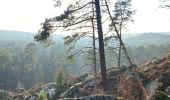 Trail Walking Fontainebleau - Fait 02/23 TB  Malmontagne + Haut Mont +  Long Rocher  - Photo 3