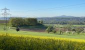 Trail On foot Rümlang - Rümlang - Wettingen - Photo 6