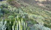 Tocht Stappen Valverde - Camino de Las Playas (El Hierro) - Photo 4