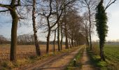 Trail On foot Bronckhorst - Lokaal Vorden - Photo 7