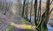 Tour Wandern Doische - Soûlée RB - Photo 19