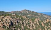 Tocht Stappen Piana - tour des châtaigniers de palani - Photo 18