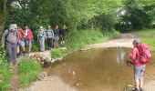 Trail Walking Laguiole - Soulagese Chateau du  ousquet - Photo 14