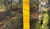 Trail  Saint-Julien-en-Vercors - Moulin marquis  - Photo 17