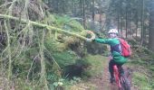 Excursión Bici de montaña Celles-sur-Plaine - VTT Celles sur Plaine avec Luca et Fab - Photo 11