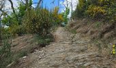 Tour Wandern Goesdorf - Goebelsmühle  - Photo 14