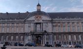 Tour Wandern Trooz - de gare en gare : Trooz - Liège St Lambert  - Photo 2