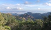 Tour Wandern Saint-Raphaël - les Grues, le Mont St Martin depuis les Lentisques - Photo 6