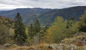 Trail Walking Sewen - Ballon d'Alsace - Lac d'Alfed et sa cascade - Col du Bonhomme - Ballon d'Alsace - Photo 17