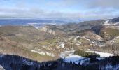 Tour Schneeschuhwandern Presles - le faz la lunette patente - Photo 1