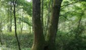 Tocht Stappen Aix-Villemaur-Pâlis - Bois des Brosses - Photo 7