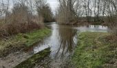 Tour Wandern Coulgens - La balade de COULGENS - Photo 2