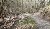 Trail Walking Aywaille - ninglinspo . chefna . fond de quareux  - Photo 8