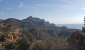 Excursión Senderismo Saint-Raphaël - Le Drapeau - Photo 3