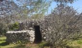 Tocht Stappen Nîmes - Clos Gaillard  - Photo 12