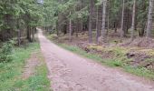 Trail Walking Chanaleilles - COMPOSTELLE J4 - Photo 9