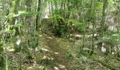 Tocht Stappen Die - Le Dôme ou Pié Ferré de l'Abbaye Valcroissant - Photo 5