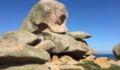 Randonnée Marche Perros-Guirec - Bretagne - Ploumanac’h-Tregastel  par la côte de Granit Rose - Photo 7