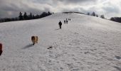 Randonnée Raquettes à neige Lepuix - Ballon d'Alsace - Photo 7